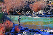 Fly Fishing Photograph by Donna Kennedy