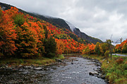 Fly Fishing in the Fall Foliage Wilmington NY Adirondacks Misty Day Photograph by Toby McGuire Fly Fishing in the Fall Foliage Wilmington NY Adirondacks Misty Day Photograph by Toby McGuire