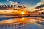 Flying Bird Sunset Photograph by Mel Steinhauer