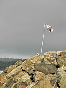 Flying THe Flag Photograph by Alan Norsworthy