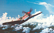 Flying Tiger Painting by Philip Fleischer