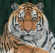 Focal Point Painting by Mark Ray