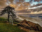 Fog and Silence - Iron Mine Hollow, Blue Ridge Parkway Photograph by Deb Beausoleil