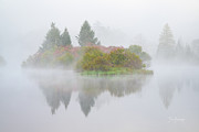 Fog Island #9343 Photograph by Dan Beauvais