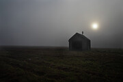 Foggy Meadow I Photograph by Steven David Roberts