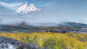 Foggy Morning - Aspen Colorado Photograph by Larry Marshall