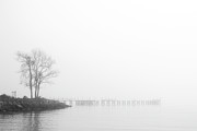 Foggy Morning on the Neuse River Near Oriental North Carolina Photograph by Bob Decker
