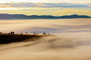 Foggy Vista Photograph by Mike Lee