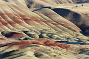Folds in the Earth -- Painted Hills at John Day Fossil Beds National Monument, Oregon Photograph by Darin Volpe Folds in the Earth -- Painted Hills at John Day Fossil Beds National Monument, Oregon Photograph by Darin Volpe
