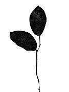 Foliage Silhouette 1- Art by Linda Woods Mixed Media by Linda Woods