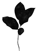 Foliage Silhouette 2- Art by Linda Woods Mixed Media by Linda Woods