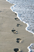 Footprints in the Sand Photograph by Alex Mir