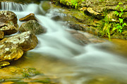 Forbes State Forest Rocky Stream Photograph by Adam Jewell