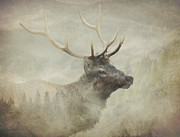 Forest Elk Textured Photograph by Dan Sproul Forest Elk Textured Photograph by Dan Sproul