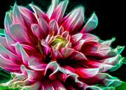 Forever Endeavor Digital Art by Macro Abundance Art Forever Endeavor Digital Art by Macro Abundance Art