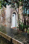 Forgotten Door Photograph by Steven Nelson Forgotten Door Photograph by Steven Nelson