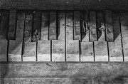 Forgotten Keyboard BW Photograph by David Letts