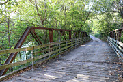 Forgotten Wooden Bridge, Photograph by Brigitte Blanchette Thompson Forgotten Wooden Bridge, Photograph by Brigitte Blanchette Thompson
