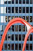 Form and Function Photograph by Christi Kraft