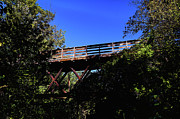Fort River Span Photograph by Steven Nelson Fort River Span Photograph by Steven Nelson