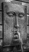 Fountain - Mexico Photograph by Frank Mari