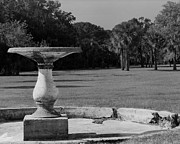 Fountain Ruin, Cumberland Island Photograph by John Simmons