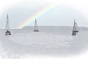 Four Sailboats On Bellingham Bay Digital Art by Kirt Tisdale