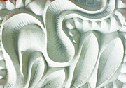 Fragment Photograph by Marilyn Cornwell Fragment Photograph by Marilyn Cornwell