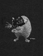 Frances Eats a Donut Black and White Drawing by Donna Mibus