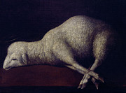 FRANCISCO DE ZURBARAN/ AGNUS DEI - 1636/1640 - O/L 35x52 - SPANISH BAROQUE. Painting by Francisco de Zurbaran -c 1598-1664-