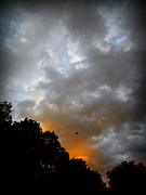 Free Bird And Sunset Clouds - Photo by Frank J Casella Photograph by Frank J Casella