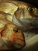 Fresh fish in the Mercado de Atarazanas Photograph by Steve Estvanik