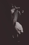 Frets Photograph by Pete Federico