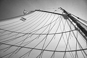 Friendship Sloop Sail Photograph by Steven David Roberts