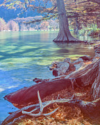 Frio River at Garner State Park Photograph by Michael Tidwell