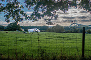 From farm to bridge Photograph by Jim Feldman From farm to bridge Photograph by Jim Feldman