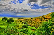 From Kohala To The Sea Photograph by DJ Florek