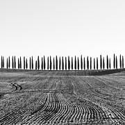 Frozen morning in Val d'Orcia Photograph by Stefano Orazzini