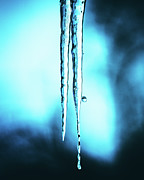 Frozen Photograph by Rich Kovach
