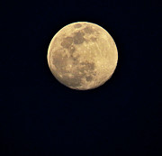 Full March Moon Photograph by Linda Stern
