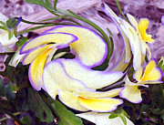 Funny Flower Face Digital Art by Vallee Johnson