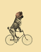 Funny Pug On Bicycle Digital Art by Madame Memento