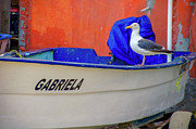 Gabriela Photograph by William Scott Koenig