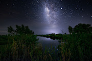 Galaxy Nights Photograph by Mark Andrew Thomas Galaxy Nights Photograph by Mark Andrew Thomas