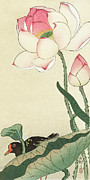 Gallinule with Lotus Flowers Painting by Ohara Koson
