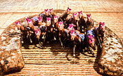 Gallopvanting  Photograph by Jorgo Photography