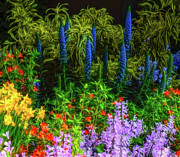 Garden Colors Photograph by Kathi Isserman
