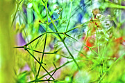 Garden Matrix Photograph by Az Jackson Garden Matrix Photograph by Az Jackson
