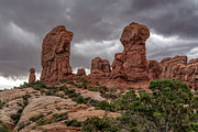 Garden of Eden Photograph by Jack Peterson Garden of Eden Photograph by Jack Peterson