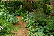 Garden Path Photograph by Marilyn Cornwell Garden Path Photograph by Marilyn Cornwell